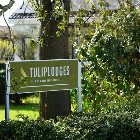 Bed & Breakfast Tulip *