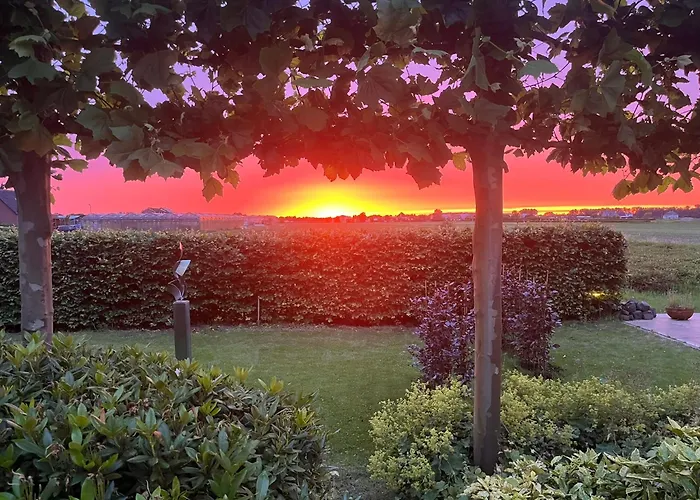 Tulip بيت ضيافة 3*