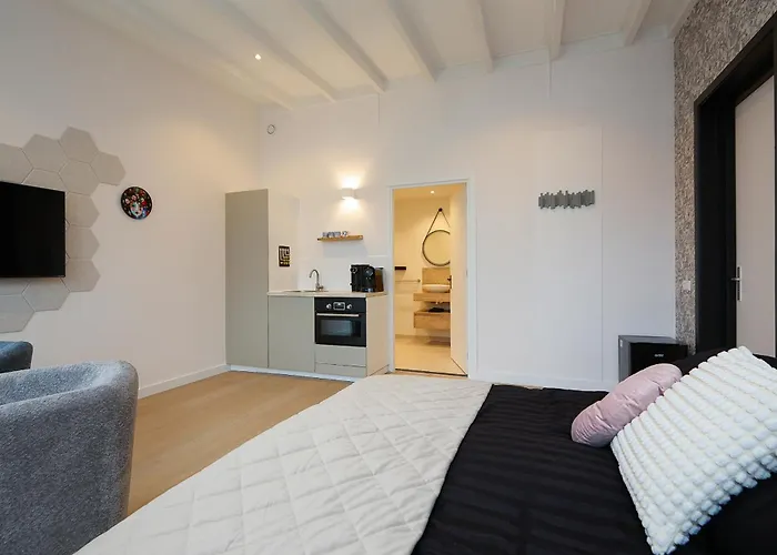 بيت ضيافة Tulip