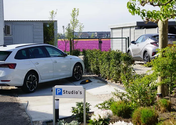 بيت ضيافة Tulip Voorhout